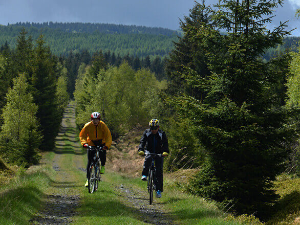 Krušnohorská magistrála