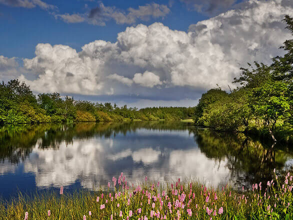 Nanebevzetí Panny Marie