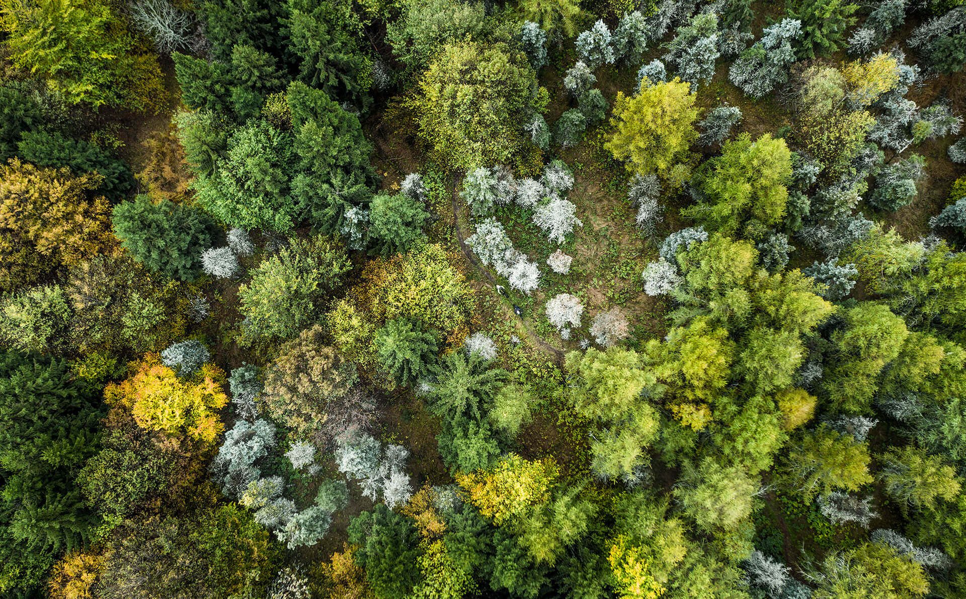 Zavítejte do divočiny