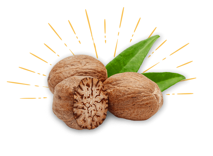 muškátový oříšek