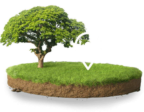 pravé místo k životu