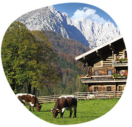 Tourismusverband Kitzbüheler Alpen / St. Johann in Tirol / Wilder Käser