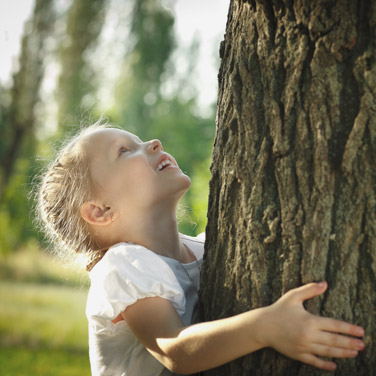 Naučte se zpomalit | Sázejte stromy