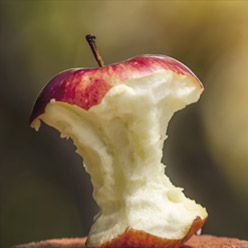 Naučte se zpomalit | Odpadky