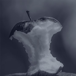 Naučte se zpomalit | Odpadky