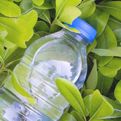 Naučte se zpomalit | Odpadky