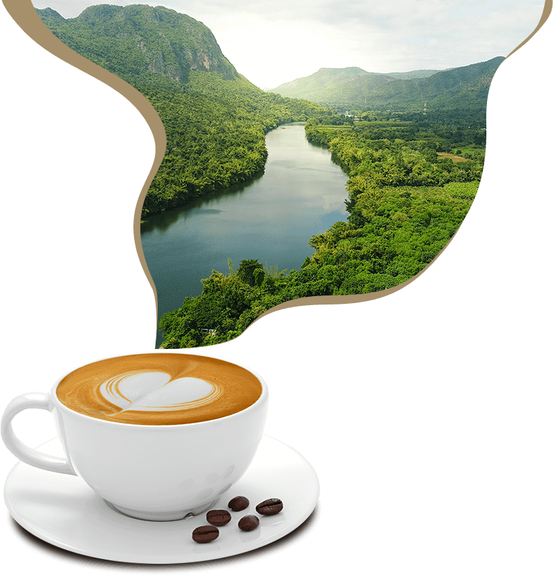 Staňte se kávovým fajnšmekrem