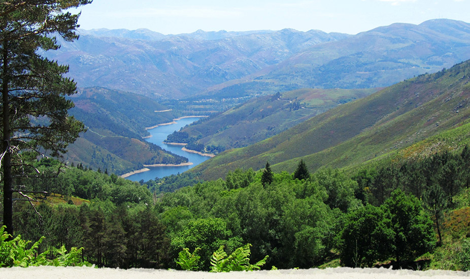 Cestou do národního parku potkáte krávy i&nbsp;koně