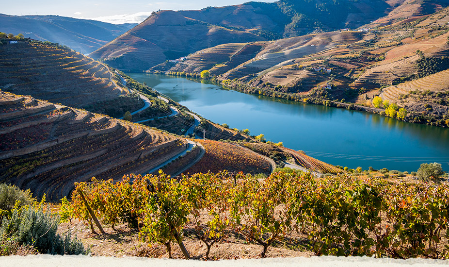 Řeka spjatá s&nbsp;vínem