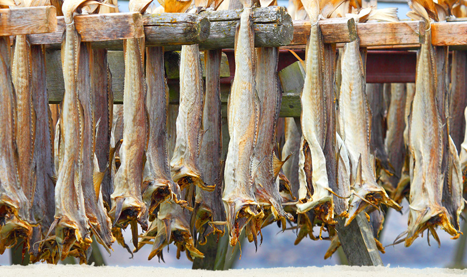 Tradiční sušená treska jako věrný přítel