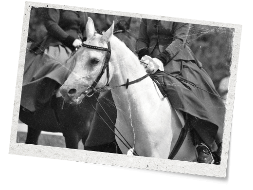 Milovníci luxusních vozů