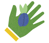 Ovoce nemá kdo sklízet