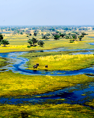 okavango