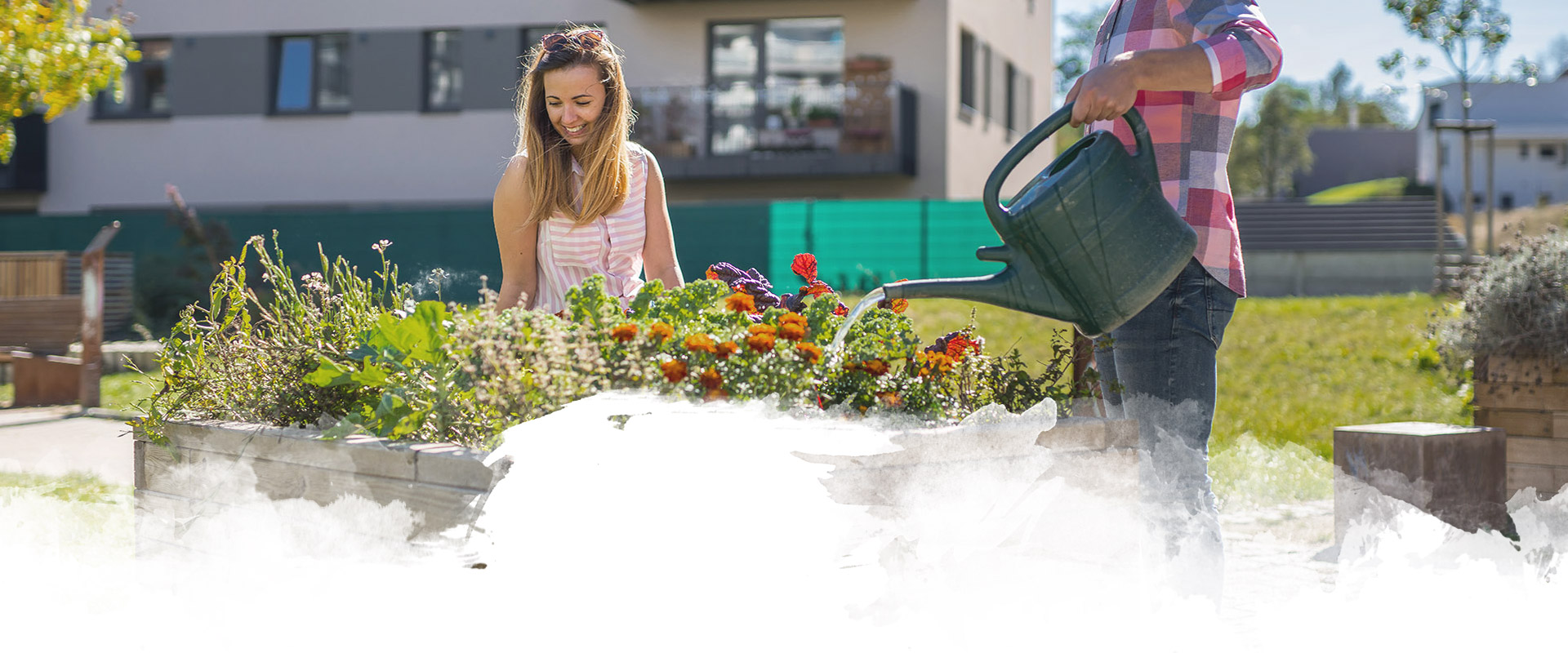 Zahrádkaření a&nbsp;grilovačky