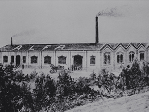 Fotografie - 24. června 1910 Fotografie - 24. června 1910